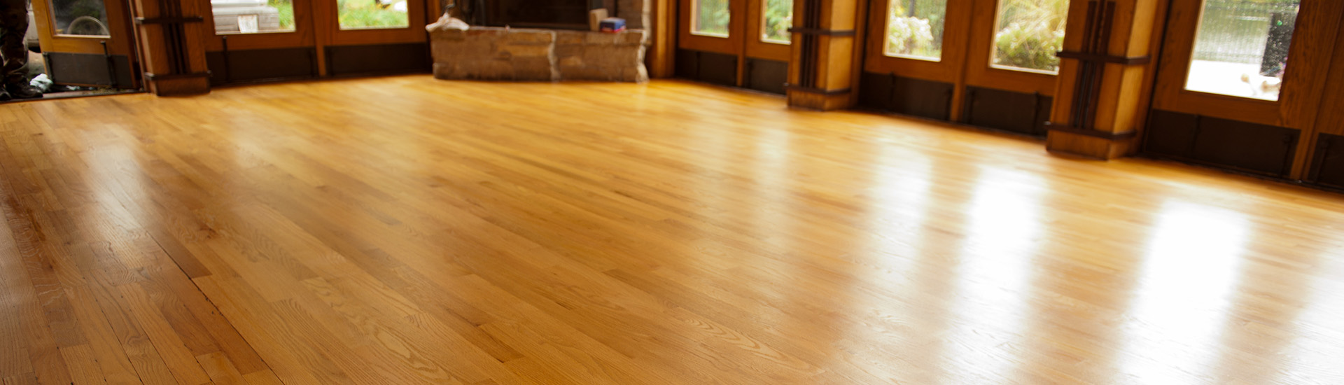 Water Damage Restoration Near Me in Algonquin